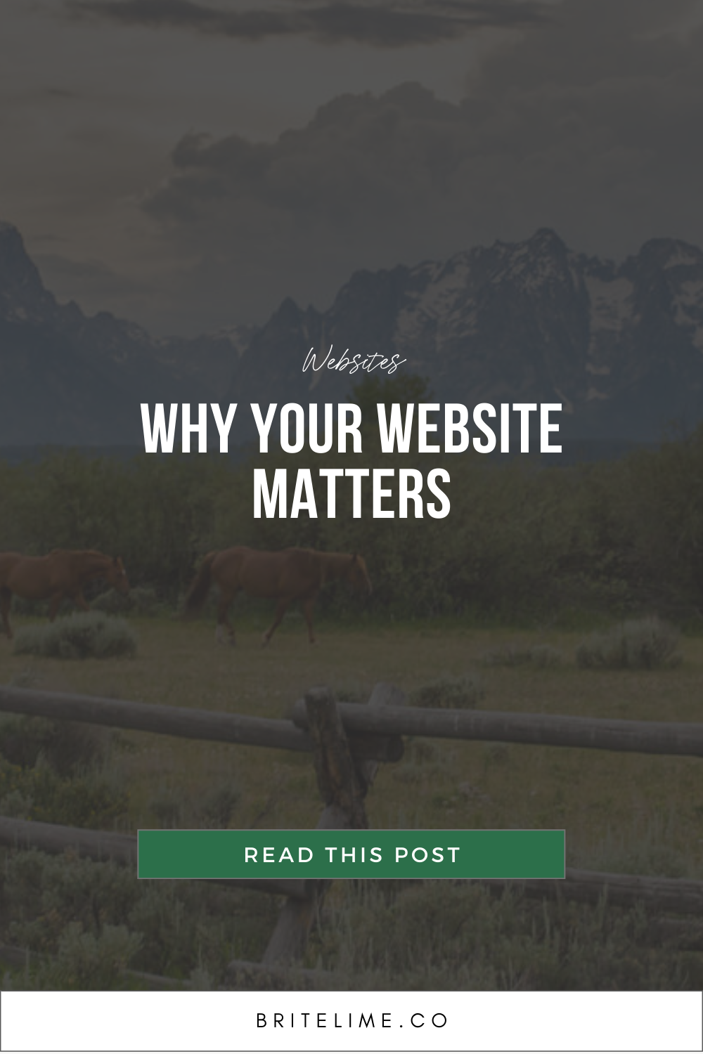 Graphic Image: Why Your Website Matters