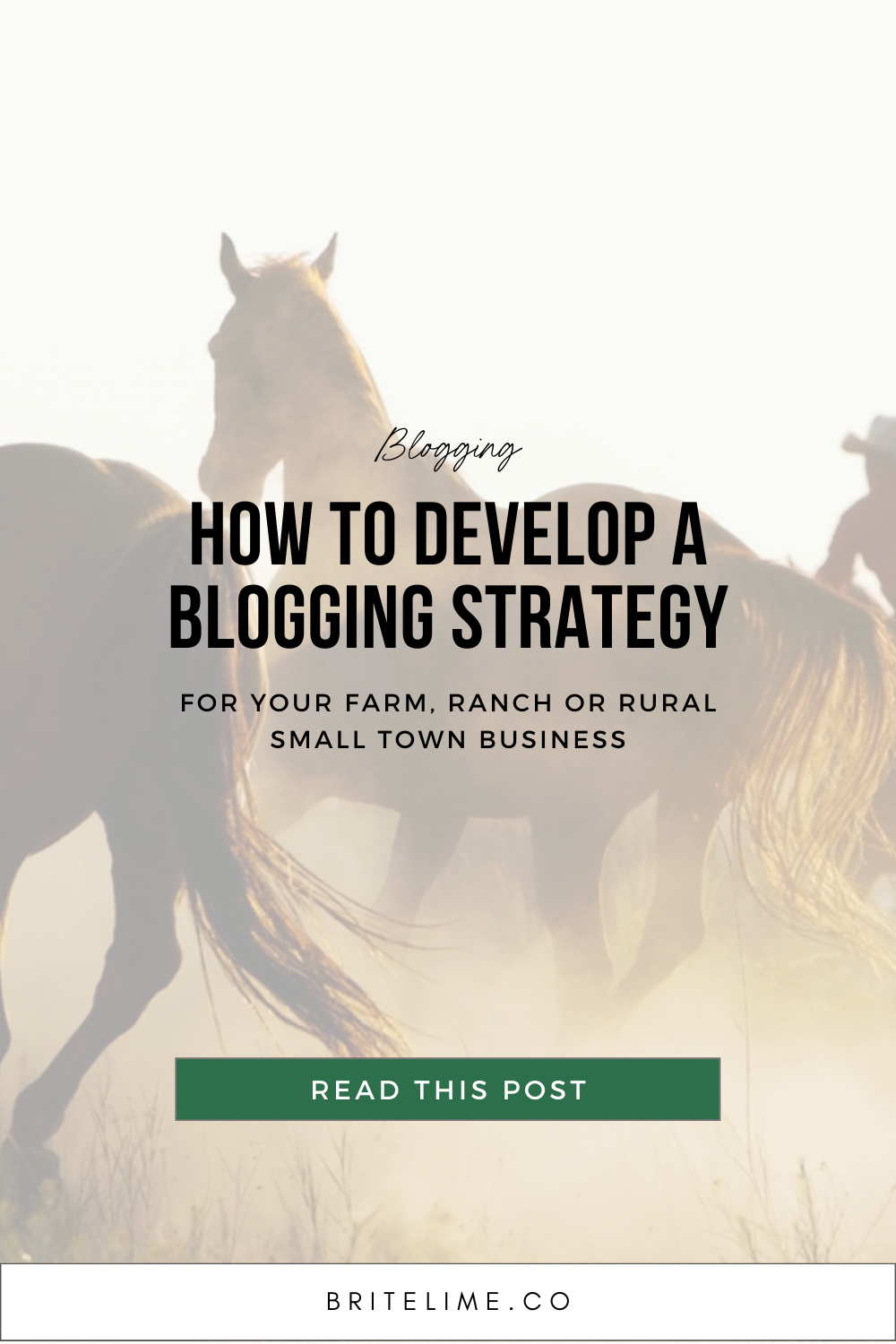 Graphic Image :How to Develop a Blogging Strategy for Your Farm, Ranch or Rural Small Town Business