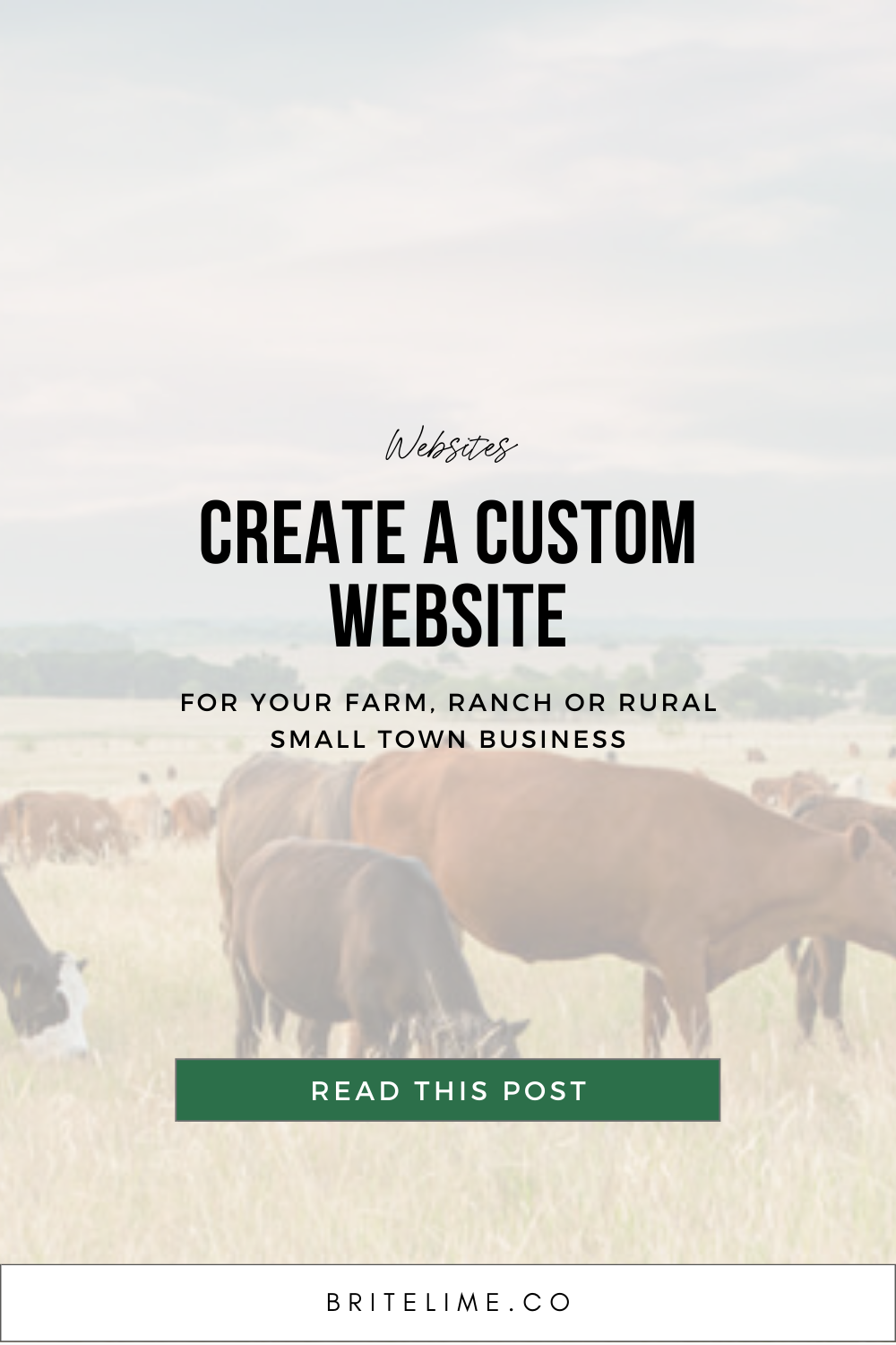 Graphic image: Create a Custom Website for Your Farm, Ranch or Rural Small Town Business