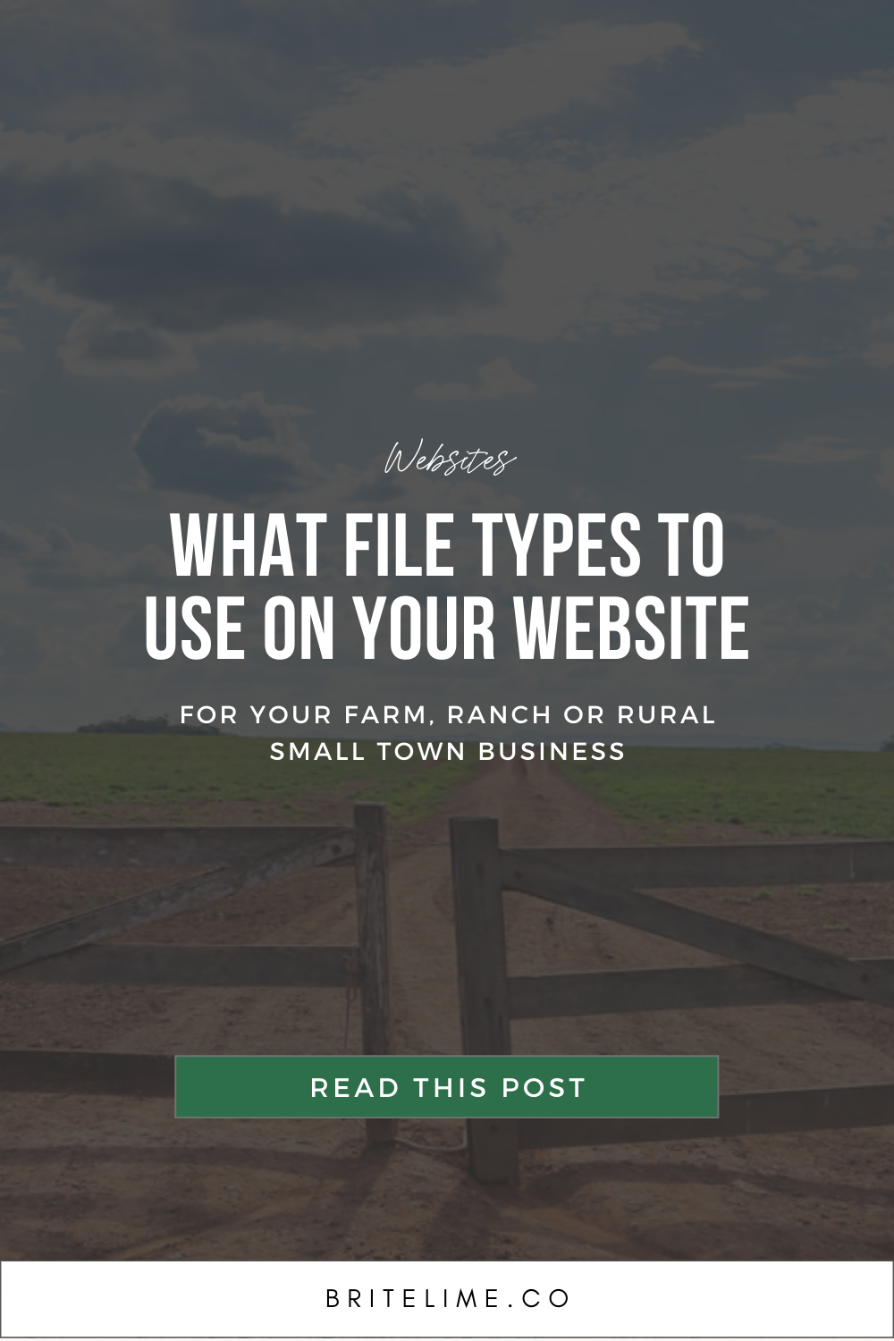 Graphic image that reads: What File Types to Use on Your Website