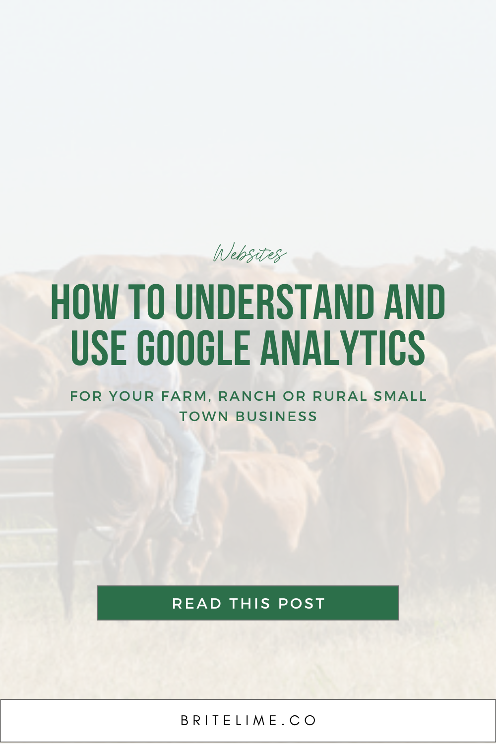 Graphic image that reads: How to Understand and Use Google Analytics