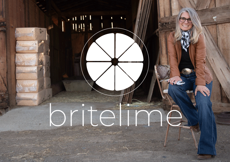 britelime founder and website designer Liz Langford-Cobo in front of a barn. Image has a white britelime logo overlay on top of the image.