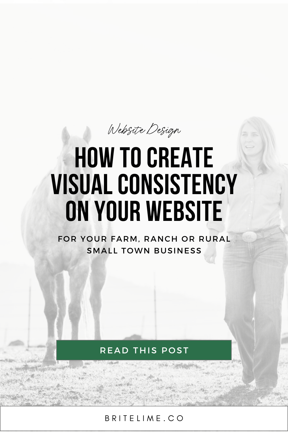 Graphic images: How to Create Visual Consistency on Your Website