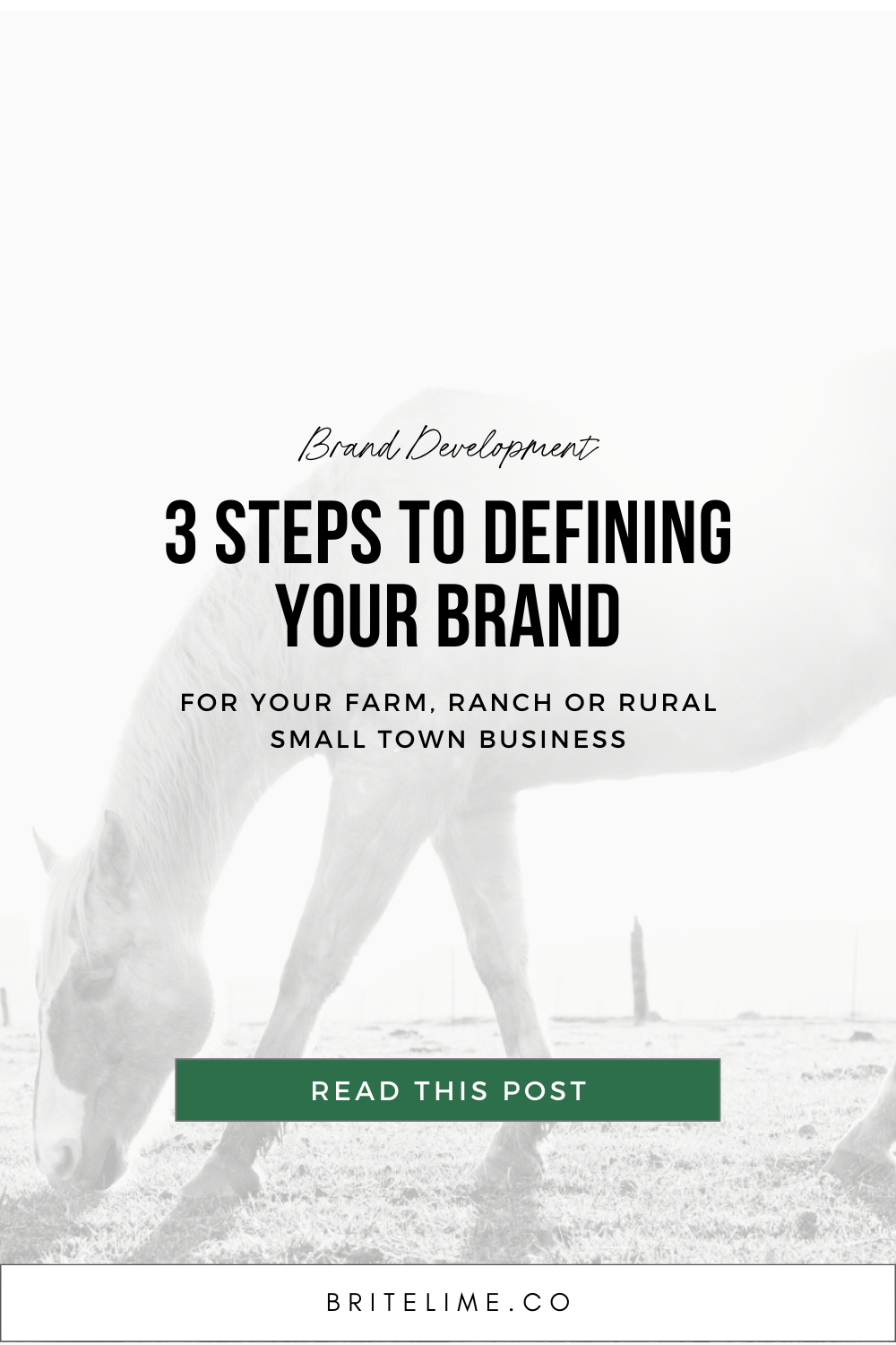 Graphic image that reads: 3 Steps to Defining Your Brand