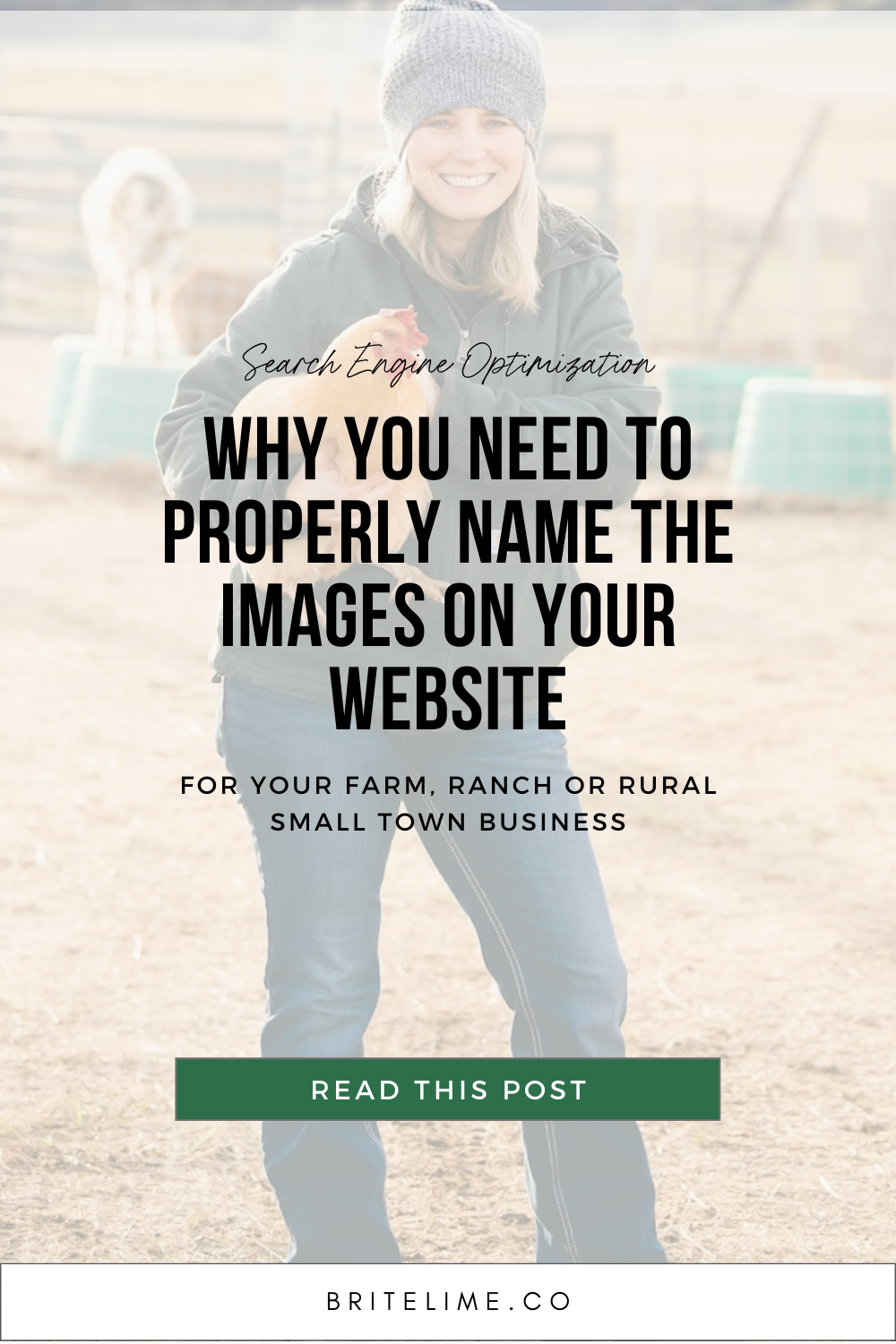 Graphic image: Properly Name the Images on Your Website