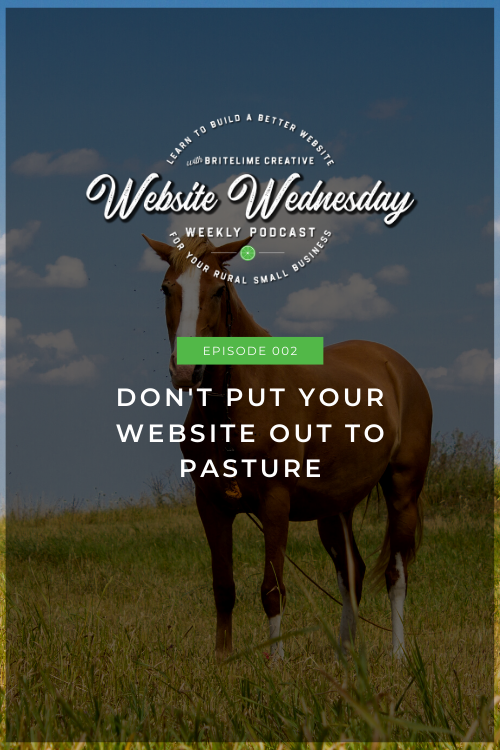 Image of a horse in a pasture with a dark overlay and white text that reads: Episode 002 Don't Put Your Website Out to Pasture