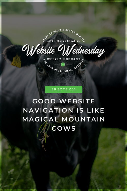 Image of a Blank Angus cow with a white text overlay that reads, Episode 003: Good Website Navigation is Like Magical Mountain Cows